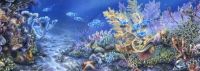 Coral Reef Panoramic
