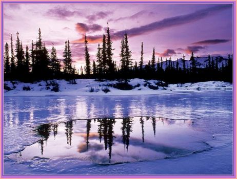 Evening Freeze
