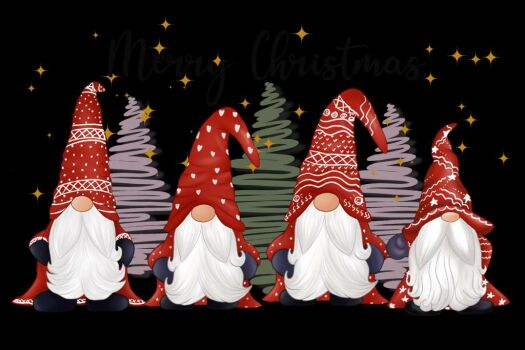 Christmas night gnomes