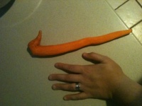 homegrown carrot