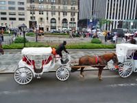 NYC_HorseDrawnCarriage