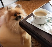 Ta káva je pro mne ?