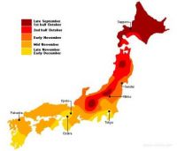 Autumn foliage forecast map