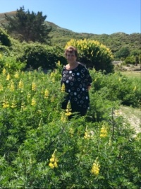 Wandering in the sand dunes