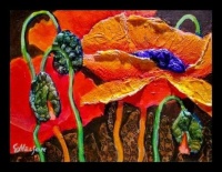 Colors