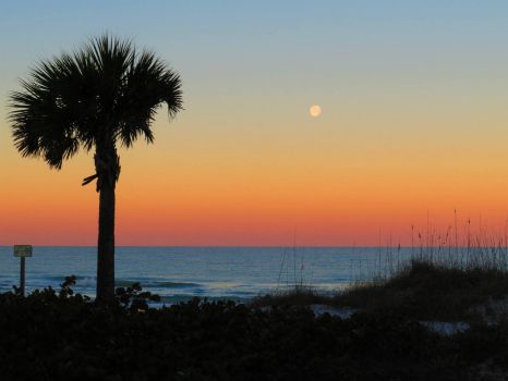 Florida Setting Moon