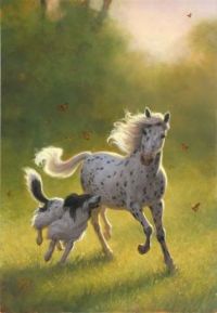 dog, pony, and butterflies