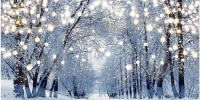 "Frozen in Time"
