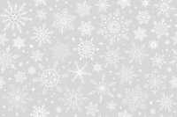 Snow Flakes
