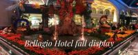 Bellagio Hotel Fall Display