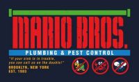 mario_bros__plumbing_and_pest_control__colour__by_wildwing64_d9u5coj-fullview.jpg