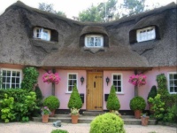 English rose cottage