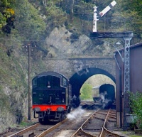 Shunting