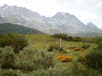 Asturias, North of Spain.  June 2016