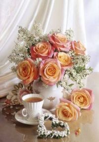 la cafea (6)