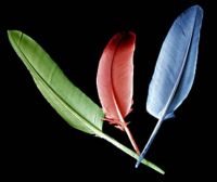 Plumas