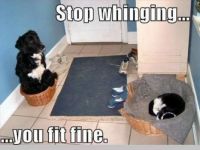 Stop whinging.....you fit fine