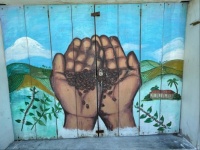 Grano de Café mural