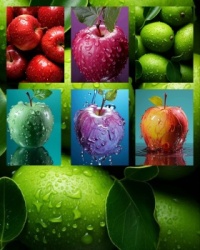 AN APPLE 🍎 A DAY ....