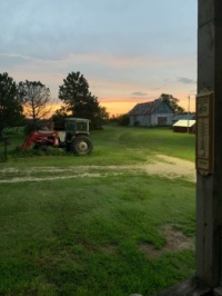 Farmer's Morning View