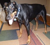 leroy