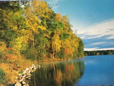 Solve Little Long Lake Chippewa National Forest Mn Jigsaw Puzzle Online With 35 Pieces