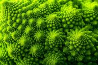 Symmetry in Nature_Romanesco Broccoli