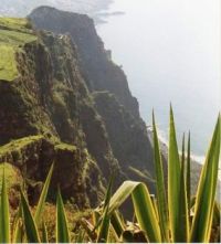 Canary Island ocean View