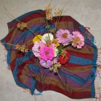 Zinnias with Rushes