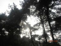beekse bergen