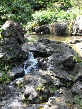 a peaceful place in Maui