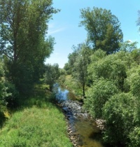 Danube in July