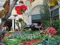 Bellagio Garden 2