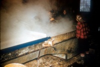 Boiling the sap at Barberry Hill Farm