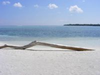 Maldives