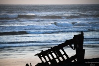 PETER IREDALE AND ROUGH SEAS