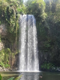 Millaa Millaa waterfall