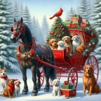 Merry Christmas to all the dogs