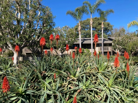 Apartment Complex in Santa Ana