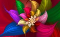 Colorful-Abstract-Flower-wide-Wallpaper
