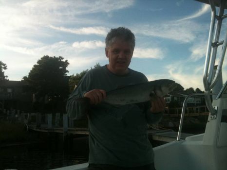 Bill caught a bluefish