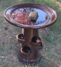 May 18th: Ice on the birdbath - and a question