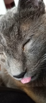 Smokey