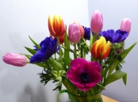 Spring Bouquet - 130