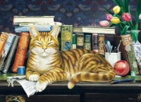 Cats and Books #1