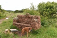 Marni at the bench, Hodbarrow nature reserve.