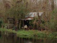 Bayou Living