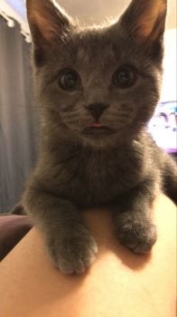 That tongue!