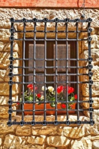 Window Grille #3