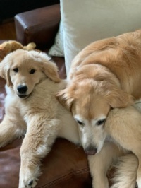 Best of Friends